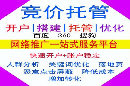 成功SEM竞价托管案例分析报告
